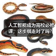 人工智能成为高校必修课,这步棋走对了吗?(图1) 人工智能成为高校必修课,这步棋走对了吗?(图1)