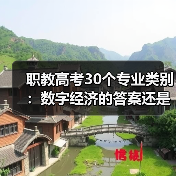 职教高考30个专业类别：数字经济的答案还是新问题？（图4）