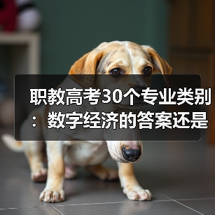 职教高考30个专业类别：数字经济的答案还是新问题？（图2）