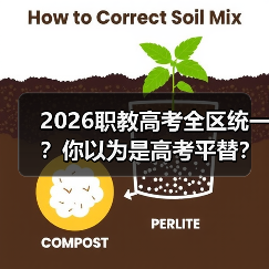 2026职教高考全区统一?你以为是高考平替?(图4) 2026职教高考全区统一?你以为是高考平替?(图4)