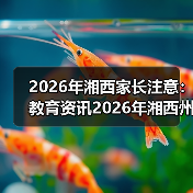 2026年湘西家长注意:教育资讯2026年湘西州深化双减是政治任务民生工程,别再只看分数了(图1) 2026年湘西家长注意:教育资讯2026年湘西州深化双减是政治任务民生工程,别再只看分数了(图1)