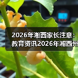2026年湘西家长注意:教育资讯2026年湘西州深化双减是政治任务民生工程,别再只看分数了(图2) 2026年湘西家长注意:教育资讯2026年湘西州深化双减是政治任务民生工程,别再只看分数了(图2)