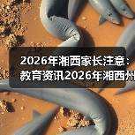 2026年湘西家长注意:教育资讯2026年湘西州深化双减是政治任务民生工程,别再只看分数了(图4) 2026年湘西家长注意:教育资讯2026年湘西州深化双减是政治任务民生工程,别再只看分数了(图4)