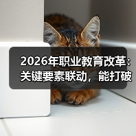 2026年职业教育改革:关键要素联动,能打破僵局吗?(图4) 2026年职业教育改革:关键要素联动,能打破僵局吗?(图4)