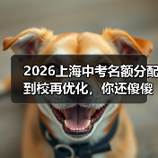 2026上海中考名额分配到校再优化,你还傻傻拼裸考?(图2) 2026上海中考名额分配到校再优化,你还傻傻拼裸考?(图2)