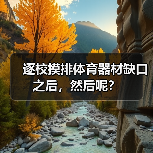 逐校摸排体育器材缺口之后,然后呢?(图3) 逐校摸排体育器材缺口之后,然后呢?(图3)
