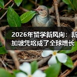 2026年留学新风向:新加坡凭啥成了全球增长最快的高等教育目的地?(图4) 2026年留学新风向:新加坡凭啥成了全球增长最快的高等教育目的地?(图4)