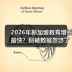 2026年新加坡教育增长最快?别被数据忽悠了(图3) 2026年新加坡教育增长最快?别被数据忽悠了(图3)