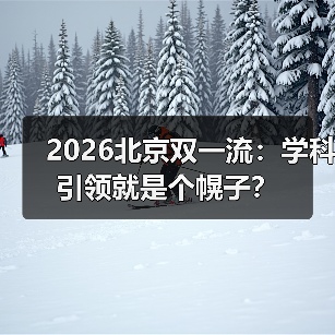 2026北京双一流:学科引领就是个幌子?(图2) 2026北京双一流:学科引领就是个幌子?(图2)