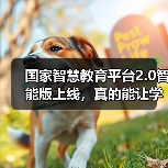 国家智慧教育平台2.0智能版上线,真的能让学习更高效吗(图4) 国家智慧教育平台2.0智能版上线,真的能让学习更高效吗(图4)