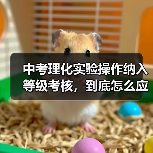 中考理化实验操作纳入等级考核,到底怎么应对?(图3) 中考理化实验操作纳入等级考核,到底怎么应对?(图3)