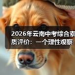 2026年云南中考综合素质评价:一个理性观察者的疑问(图2) 2026年云南中考综合素质评价:一个理性观察者的疑问(图2)