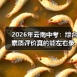 2026年云南中考:综合素质评价真的能左右录取结果吗?(图3) 2026年云南中考:综合素质评价真的能左右录取结果吗?(图3)