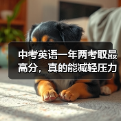 中考英语一年两考取最高分,真的能减轻压力吗?(图3) 中考英语一年两考取最高分,真的能减轻压力吗?(图3)