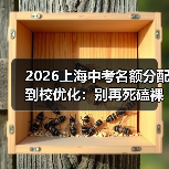 2026上海中考名额分配到校优化:别再死磕裸考,这三条路更野(图1) 2026上海中考名额分配到校优化:别再死磕裸考,这三条路更野(图1)
