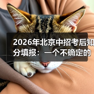 2026年北京中招考后知分填报：一个不确定的尝试（图4）