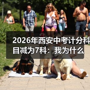 2026年西安中考计分科目减为7科:我为什么松了口气又有点慌(图3) 2026年西安中考计分科目减为7科:我为什么松了口气又有点慌(图3)