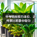 中考转向能力本位，这件事比想象中复杂（图3）
