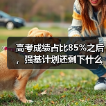 高考成绩占比85%之后,强基计划还剩下什么(图2) 高考成绩占比85%之后,强基计划还剩下什么(图2)