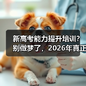 新高考能力提升培训？别做梦了，2026年真正该做的三件事（图1）