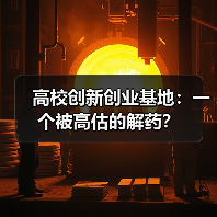 高校创新创业基地:一个被高估的解药?(图3) 高校创新创业基地:一个被高估的解药?(图3)