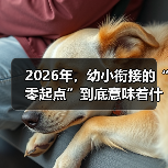 2026年,幼小衔接的“零起点”到底意味着什么?(图3) 2026年,幼小衔接的“零起点”到底意味着什么?(图3)