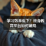 学习效率低下?终身教育平台如何破局(图4) 学习效率低下?终身教育平台如何破局(图4)