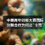中美青年创客大赛国际创新合作为何总 中美青年创客大赛国际创新合作为何总
