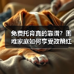 免费托育真的靠谱？困难家庭如何享受政策红利？（图1）