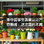 来华留学生质量认证严查新规：这次真的不再走过场（图3）