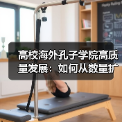 高校海外孔子学院高质量发展:如何从数量扩张转向质量深耕?(图1) 高校海外孔子学院高质量发展:如何从数量扩张转向质量深耕?(图1)