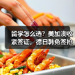 留学怎么选?美加澳收紧签证,德日韩免签抢人,错选等于没机会!(图2) 留学怎么选?美加澳收紧签证,德日韩免签抢人,错选等于没机会!(图2)