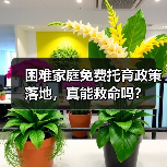 困难家庭免费托育政策落地，真能救命吗？（图4）