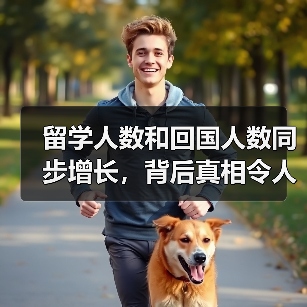 留学人数和回国人数同步增长,背后真相令人深思(图1) 留学人数和回国人数同步增长,背后真相令人深思(图1)