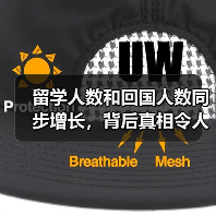 留学人数和回国人数同步增长,背后真相令人深思(图4) 留学人数和回国人数同步增长,背后真相令人深思(图4)