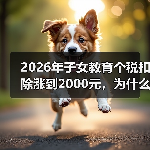 2026年子女教育个税扣除涨到2000元,为什么我亏了1000元?(图1) 2026年子女教育个税扣除涨到2000元,为什么我亏了1000元?(图1)