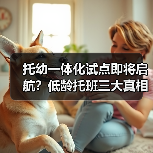 托幼一体化试点即将启航?低龄托班三大真相全揭秘(图4) 托幼一体化试点即将启航?低龄托班三大真相全揭秘(图4)