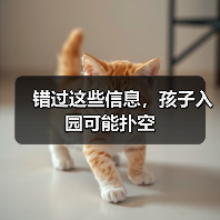 错过这些信息,孩子入园可能扑空(图3) 错过这些信息,孩子入园可能扑空(图3)