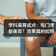 学科美育试点：每门课都美育？效果真的如预期吗？（图3）