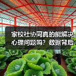 家校社协同真的能解决心理问题吗？数据背后的矛盾现象（图2）