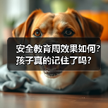 安全教育周效果如何？孩子真的记住了吗？（图1）