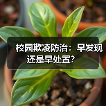 校园欺凌防治：早发现还是早处置？（图2）