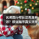 名师西行帮扶是否真有效？数据揭示真实效果（图4）