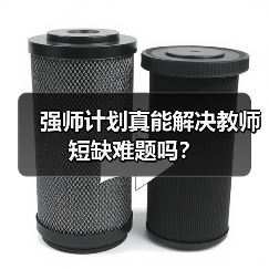 强师计划真能解决教师短缺难题吗?(图4) 强师计划真能解决教师短缺难题吗?(图4)