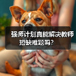 强师计划真能解决教师短缺难题吗?(图3) 强师计划真能解决教师短缺难题吗?(图3)