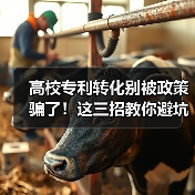 高校专利转化别被政策骗了!这三招教你避坑实操指南(图2) 高校专利转化别被政策骗了!这三招教你避坑实操指南(图2)