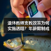 退休教师支教政策为何实施遇阻？年龄限制成关键因素？（图2）