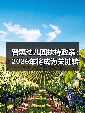 普惠幼儿园扶持政策:2026年将成为关键转折点?(图3) 普惠幼儿园扶持政策:2026年将成为关键转折点?(图3)