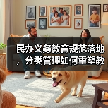 民办义务教育规范落地,分类管理如何重塑教育格局?(图4) 民办义务教育规范落地,分类管理如何重塑教育格局?(图4)