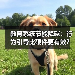 教育系统节能降碳:行为引导比硬件更有效?(图3) 教育系统节能降碳:行为引导比硬件更有效?(图3)